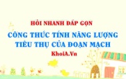 Công thức tính năng lượng tiêu thụ của một đoạn mạch lớp...